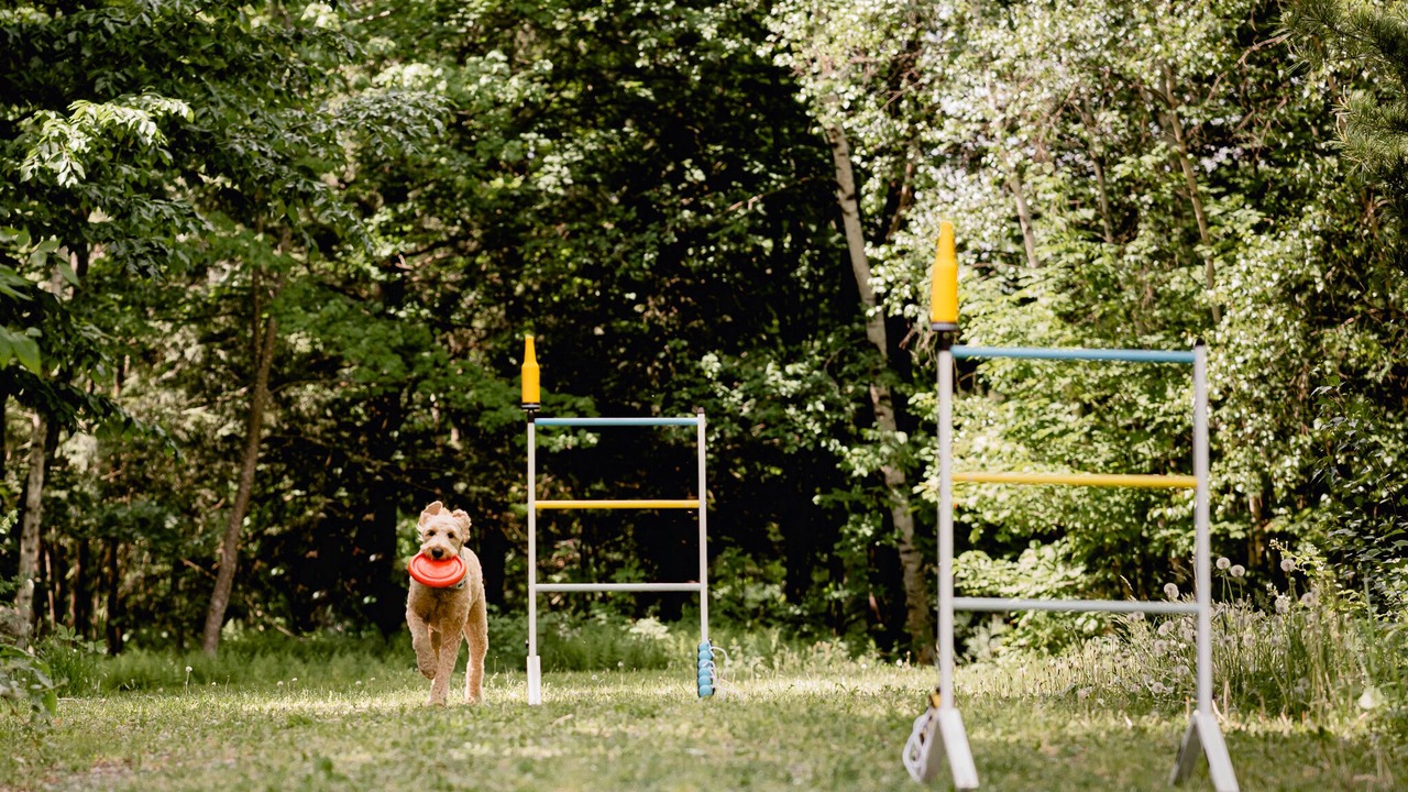 Photo of Outdoor in Potton