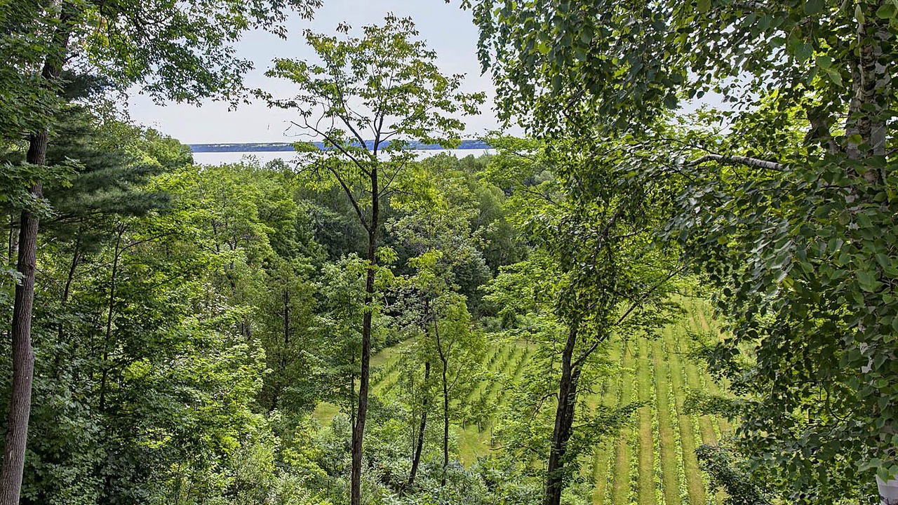 Photo of Outdoor in Neuville