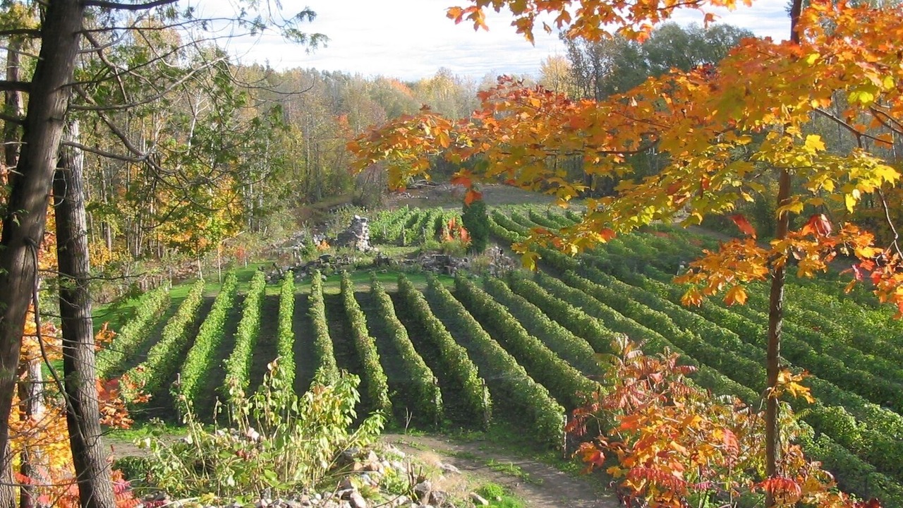 Photo of Outdoor in Neuville