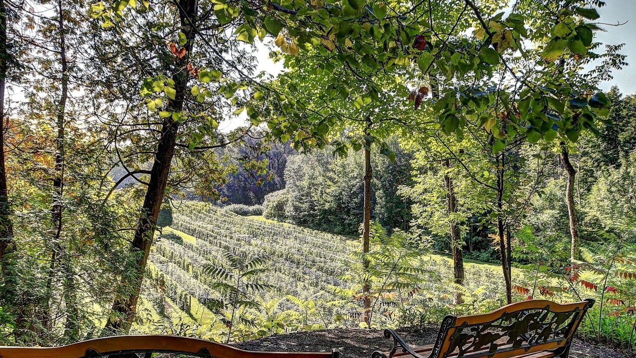 Photo of Outdoor in Neuville