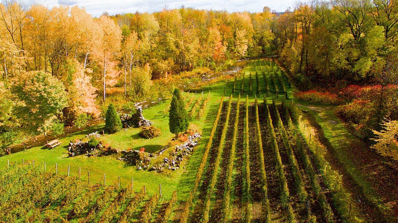 Photo of Outdoor in Neuville