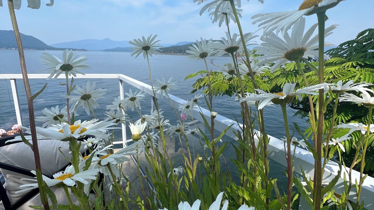Photo of Outdoor in Vancouver
