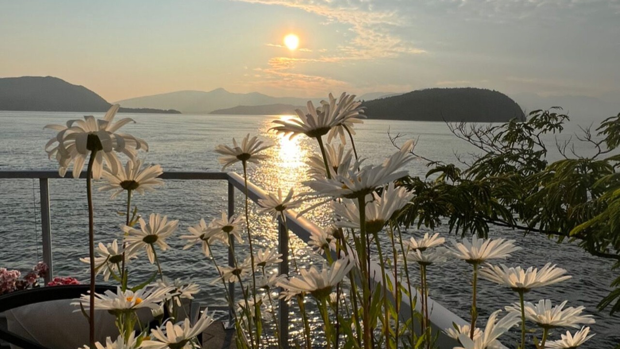 Photo of Outdoor in Vancouver