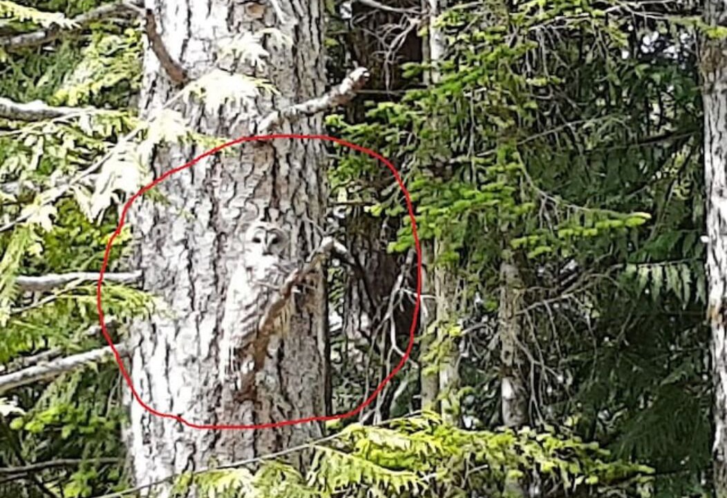 Photo of Outdoor in Otter Point
