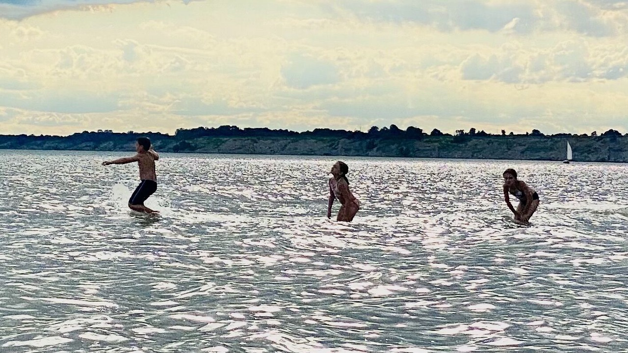 Photo of Others in Port Stanley