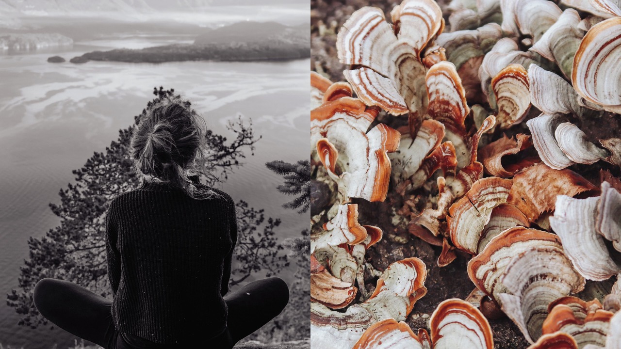 Photo of Others in Bowen Island