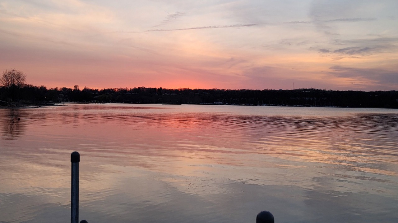 Photo of Others in Wiarton