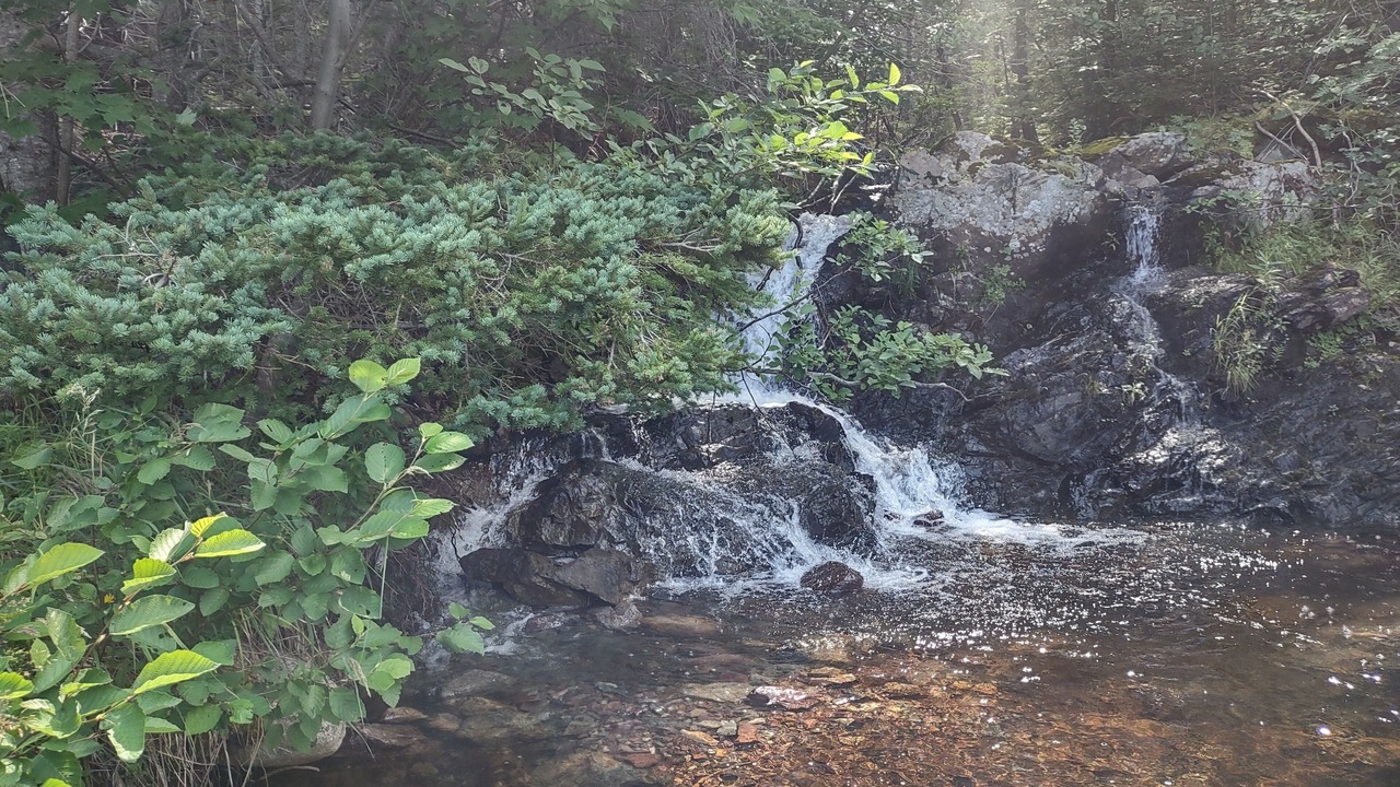 Photo of Others in Terra Nova