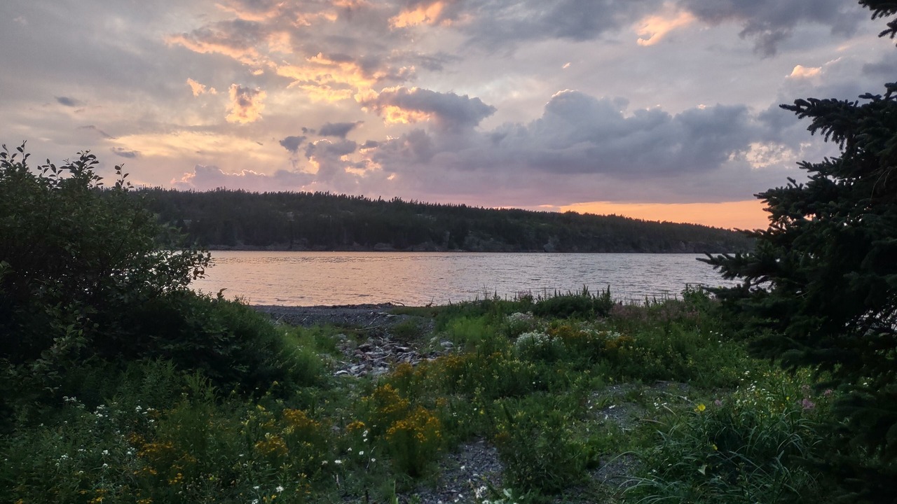 Photo of Others in Terra Nova
