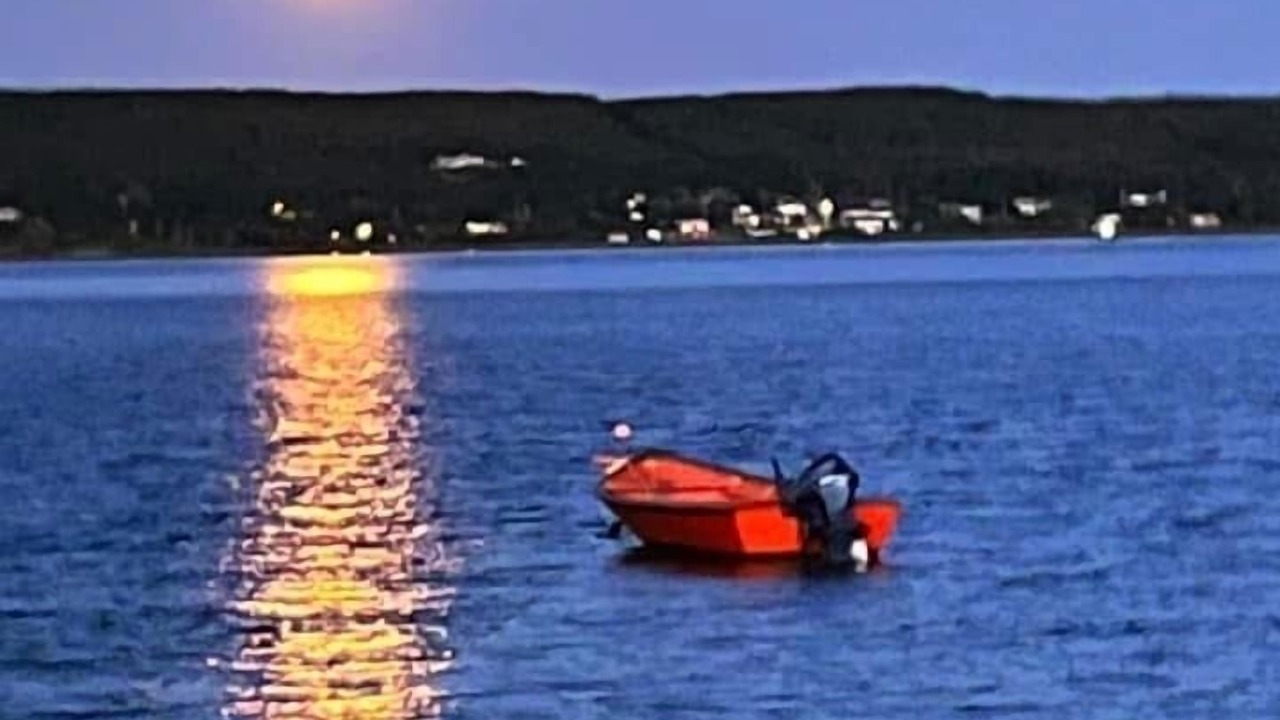 Photo of Others in York Harbour