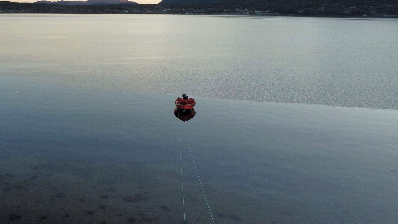 Photo of Others in York Harbour