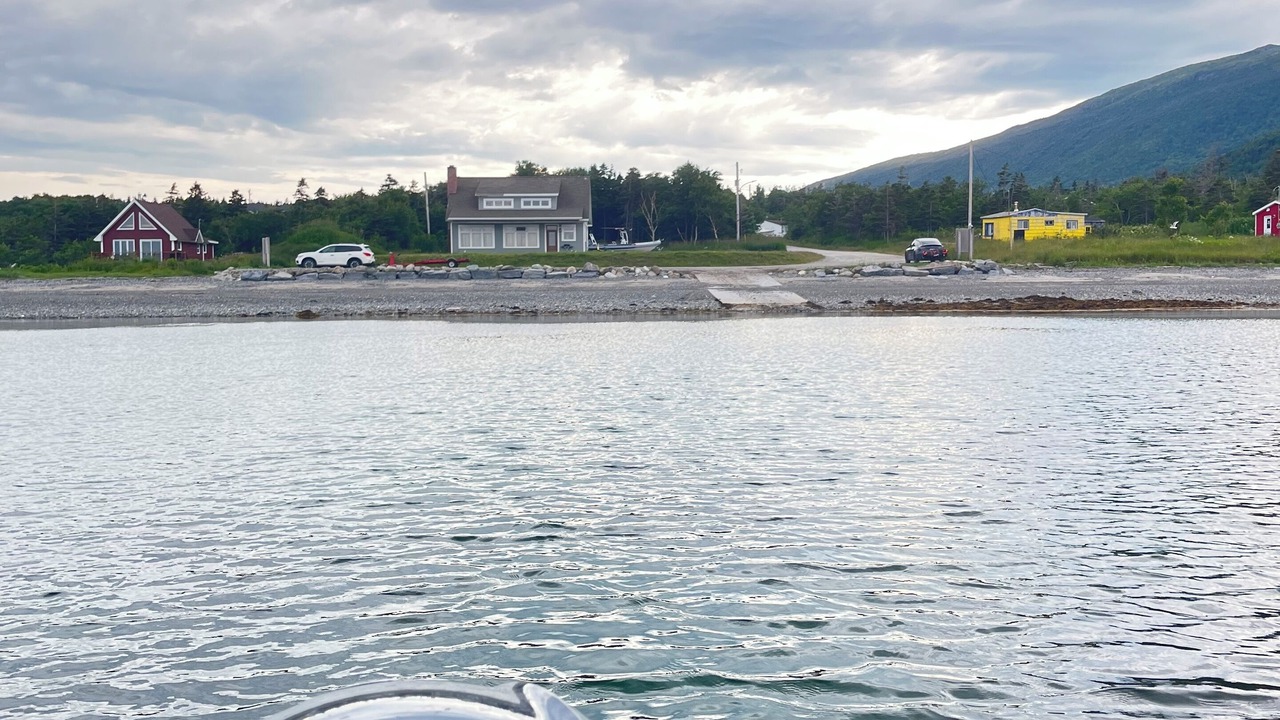 Photo of Others in York Harbour