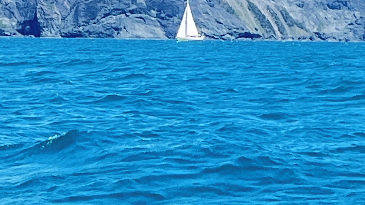 Photo of Others in York Harbour