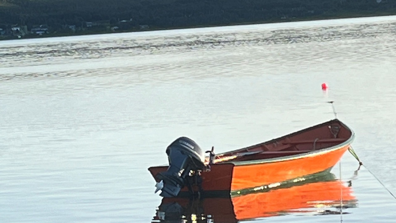 Photo of Others in York Harbour
