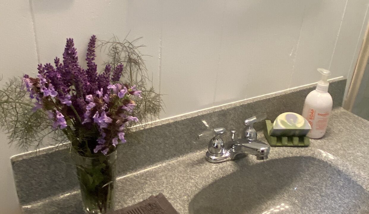 Photo of Bathroom in Taghum