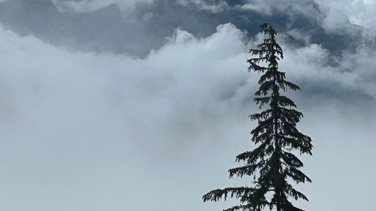 Photo of Others in Revelstoke