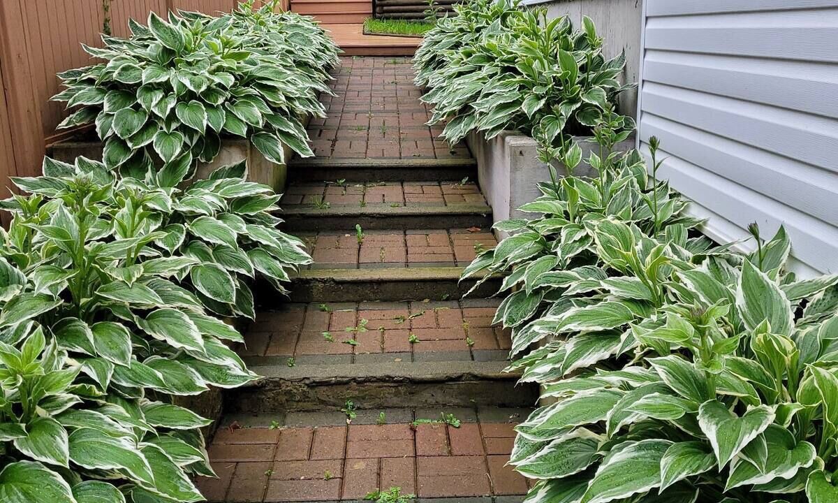 Photo of Outdoor in Abbotsford