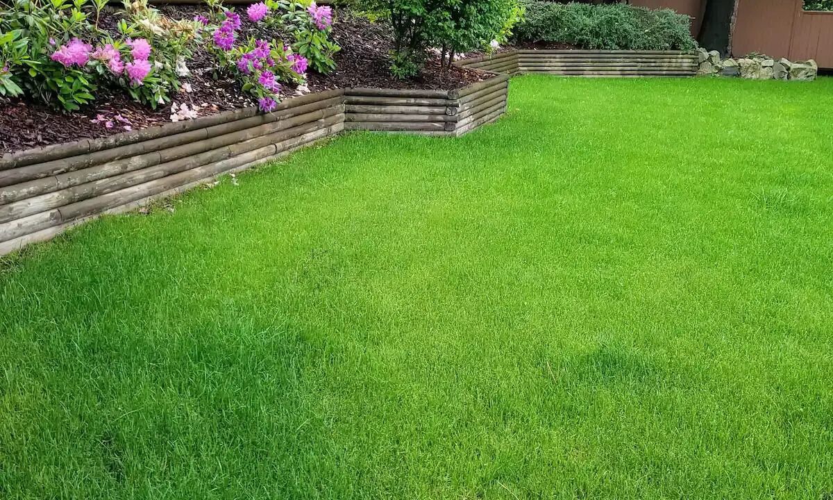 Photo of Outdoor in Abbotsford