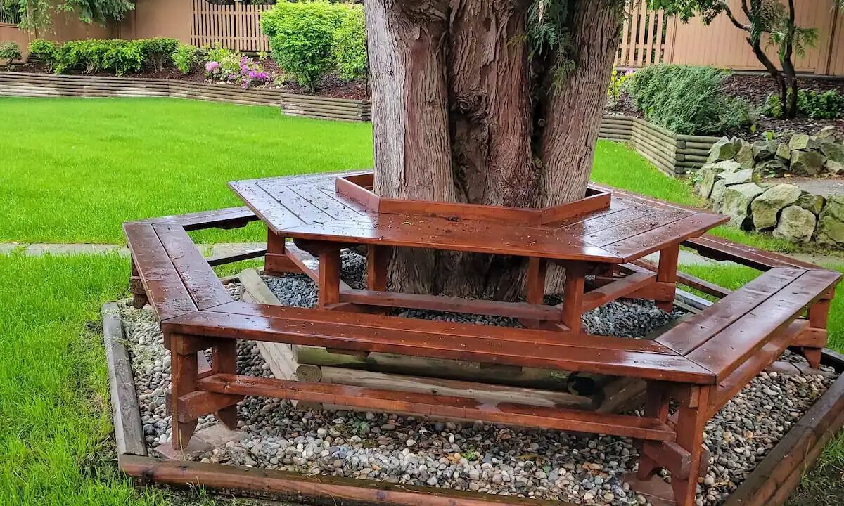 Photo of Outdoor in Abbotsford
