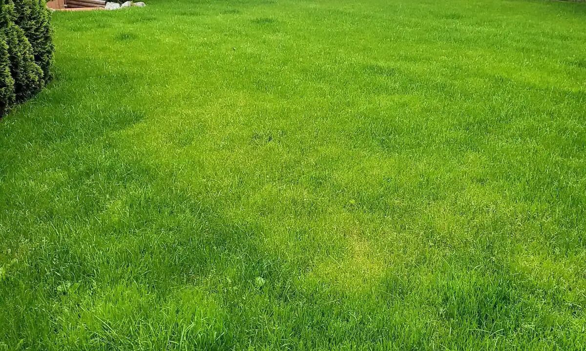 Photo of Outdoor in Abbotsford
