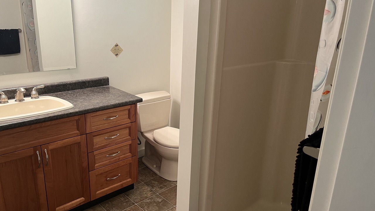 Photo of Bathroom in Youbou