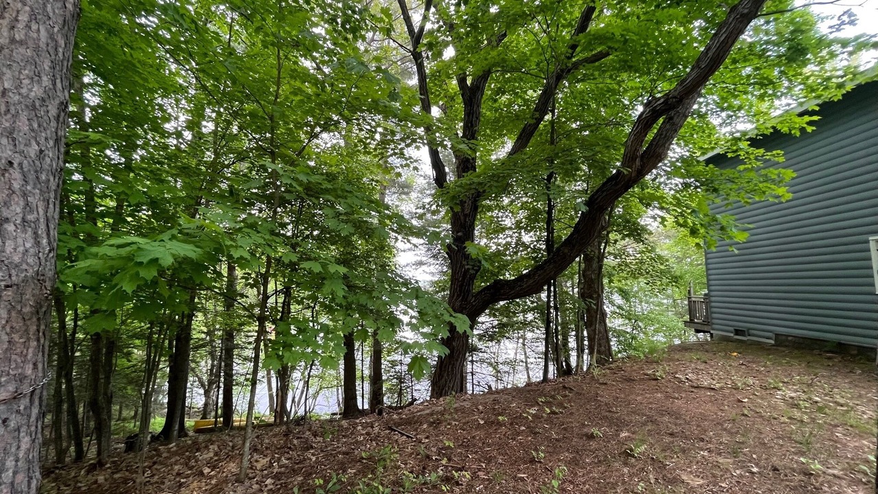 Photo of Others in Utterson