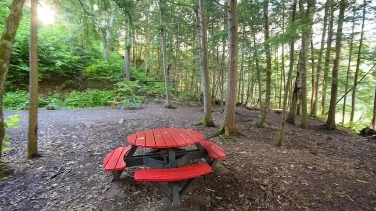 Photo of Outdoor in Bowman