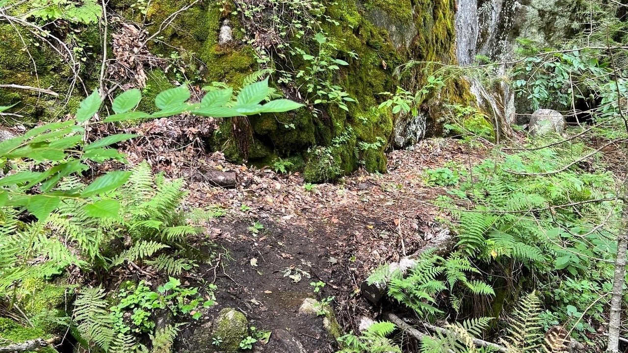 Photo of Outdoor in Bowman