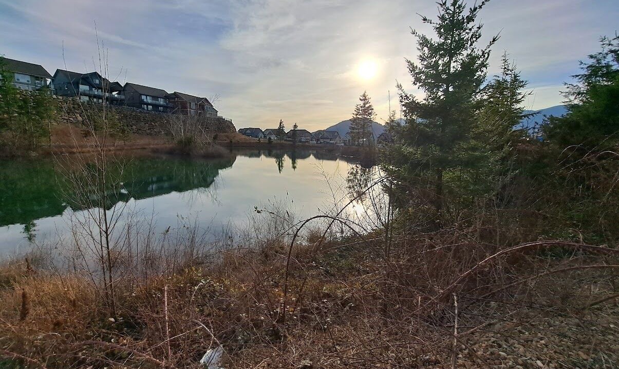 Photo of Others in Agassiz
