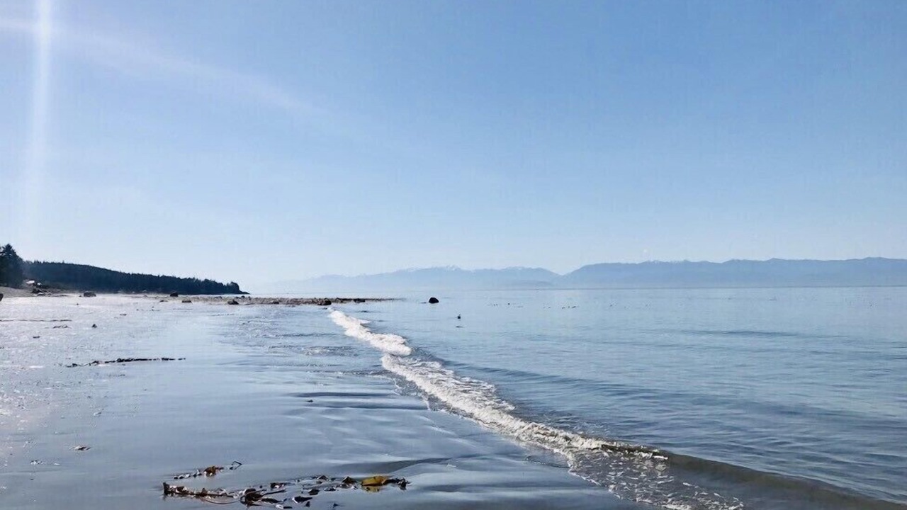 Photo of Others in Otter Point