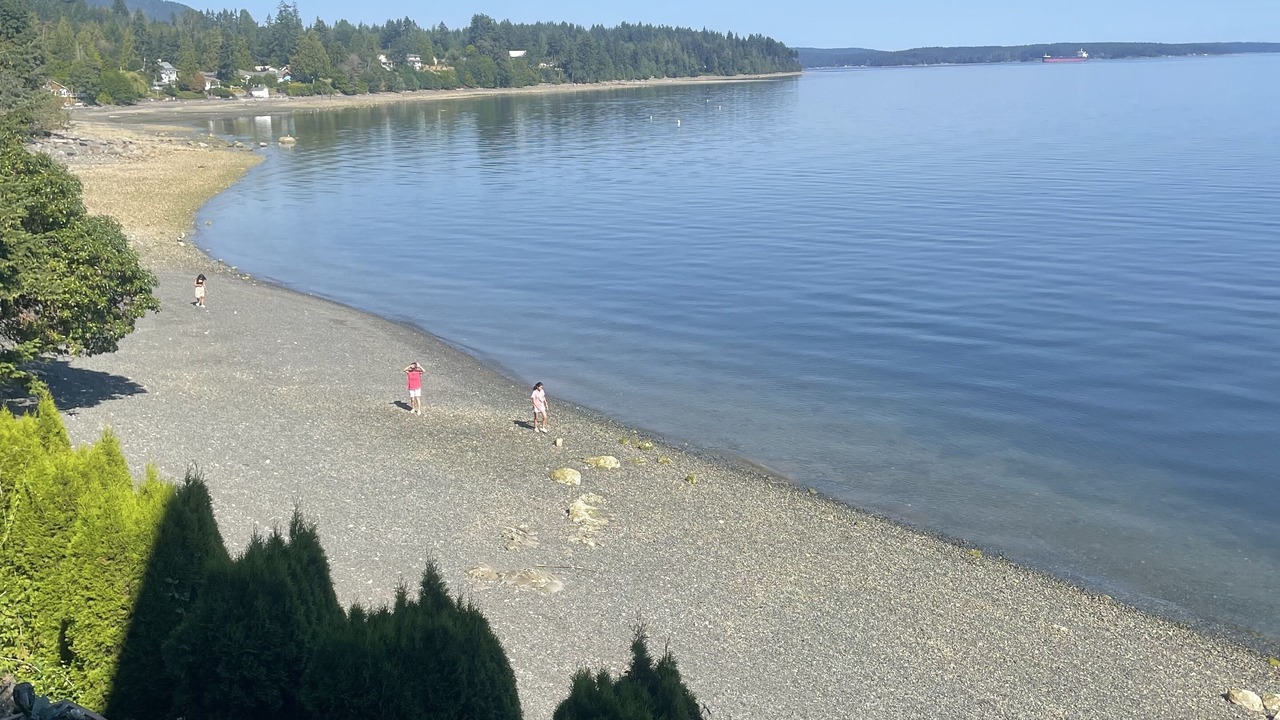 Photo of Others in Chemainus