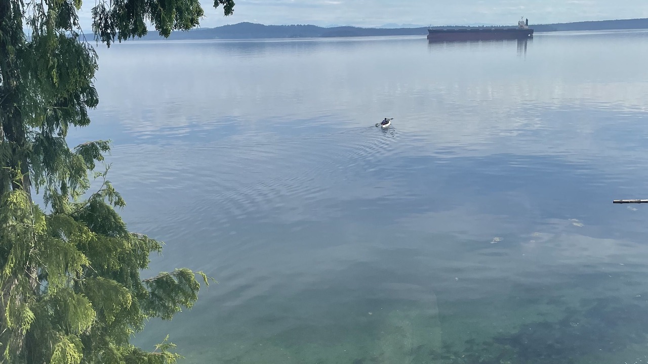 Photo of Others in Chemainus