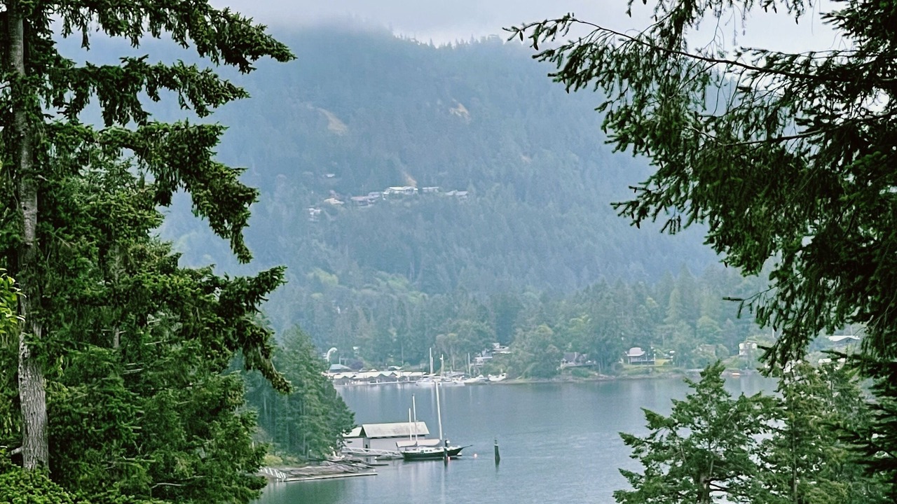 Photo of Others in Garden Bay