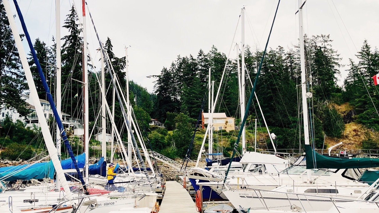 Photo of Others in Garden Bay