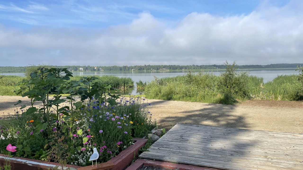 Photo of Outdoor in Central Alberta
