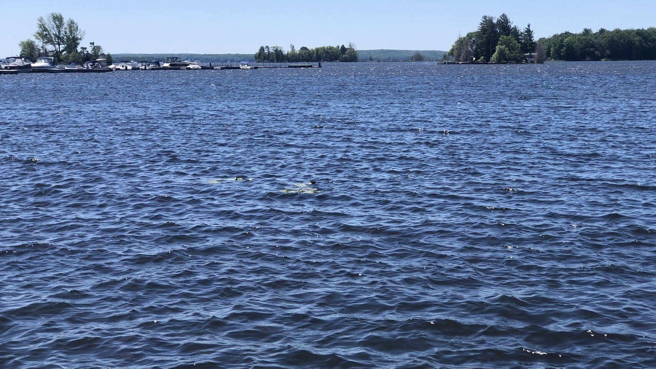 Photo of Outdoor in Honey Harbour