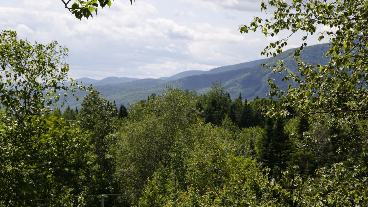 Photo of Others in Saint-Joachim