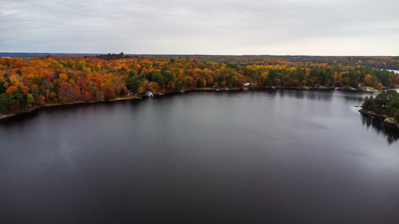 Photo of Outdoor in Muskoka Lakes