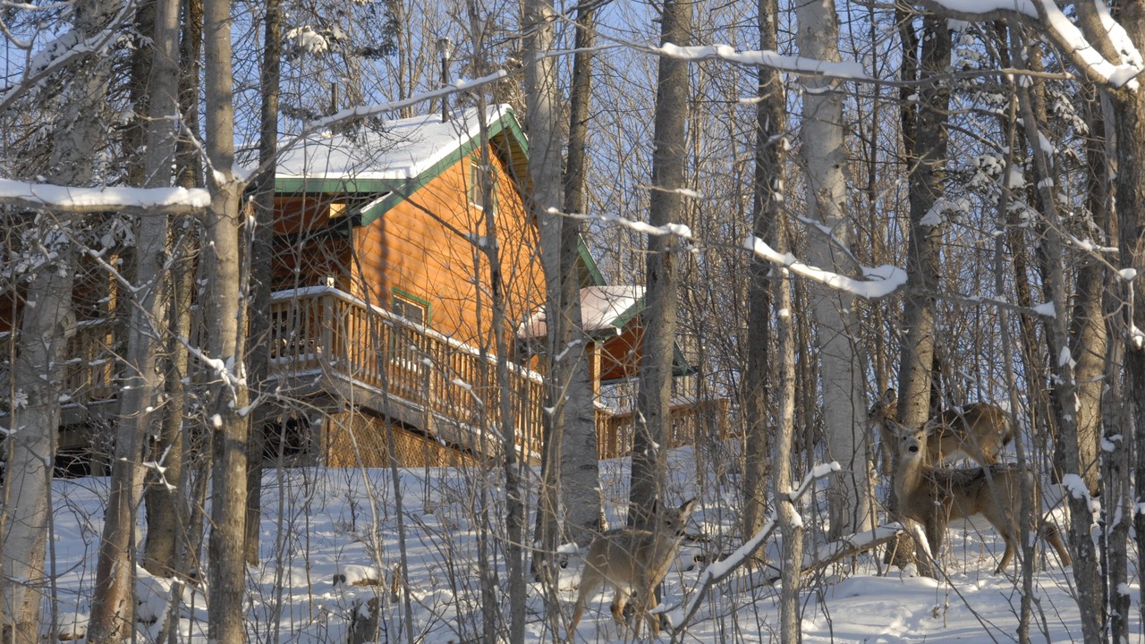 Photo of Outdoor in Spring Creek