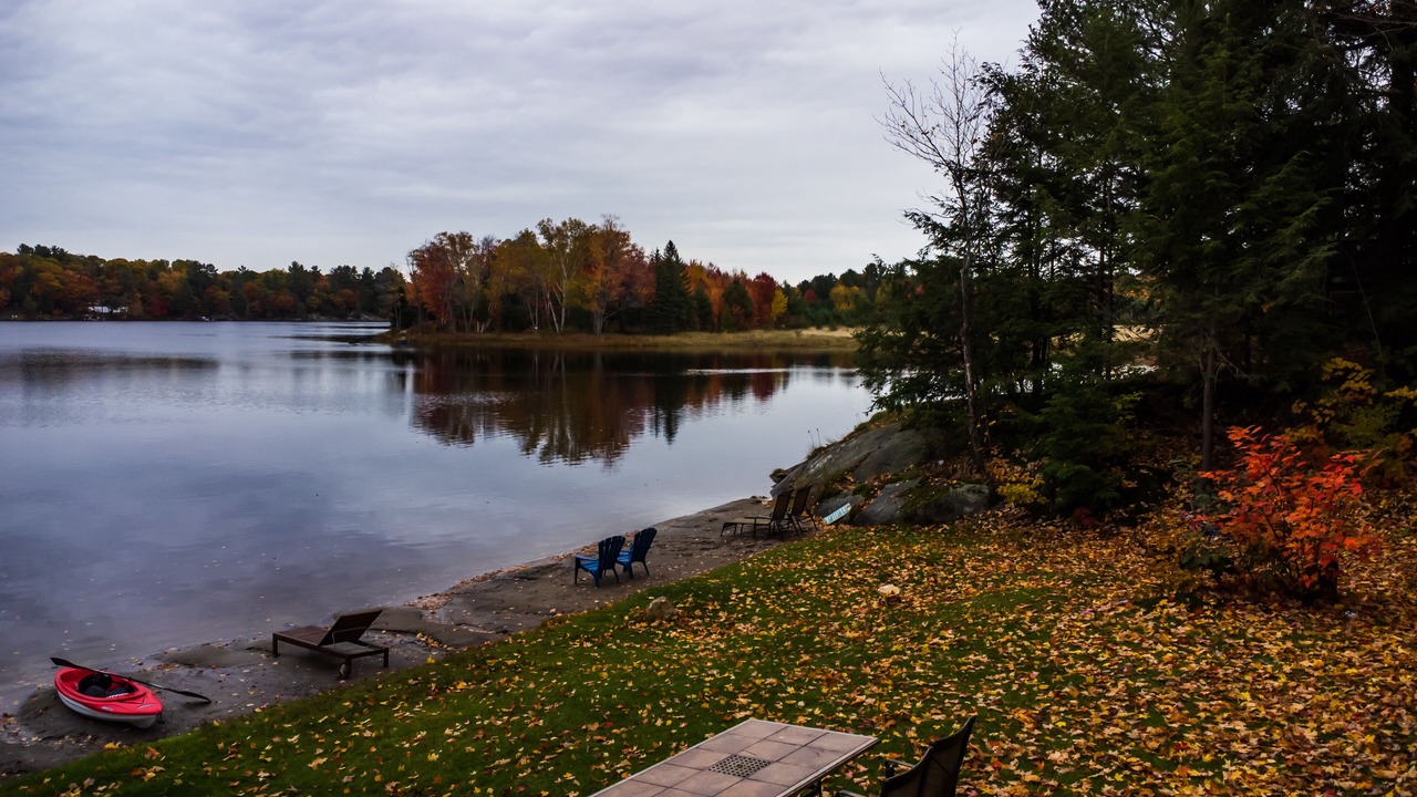 Photo of Outdoor in Muskoka Lakes