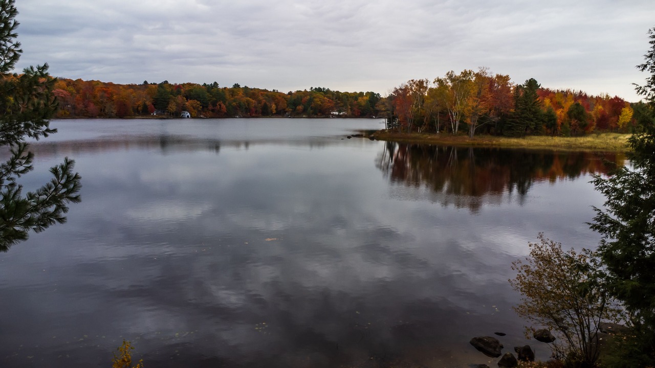 Photo of Outdoor in Muskoka Lakes