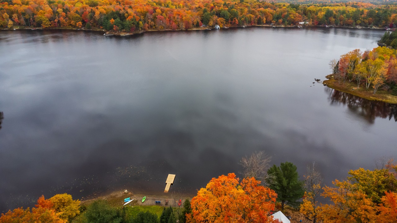 Photo of Outdoor in Muskoka Lakes
