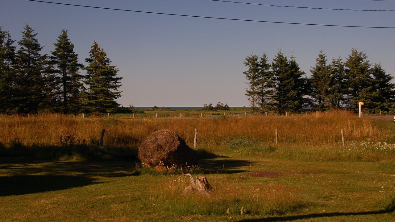Photo of Others in Stanhope