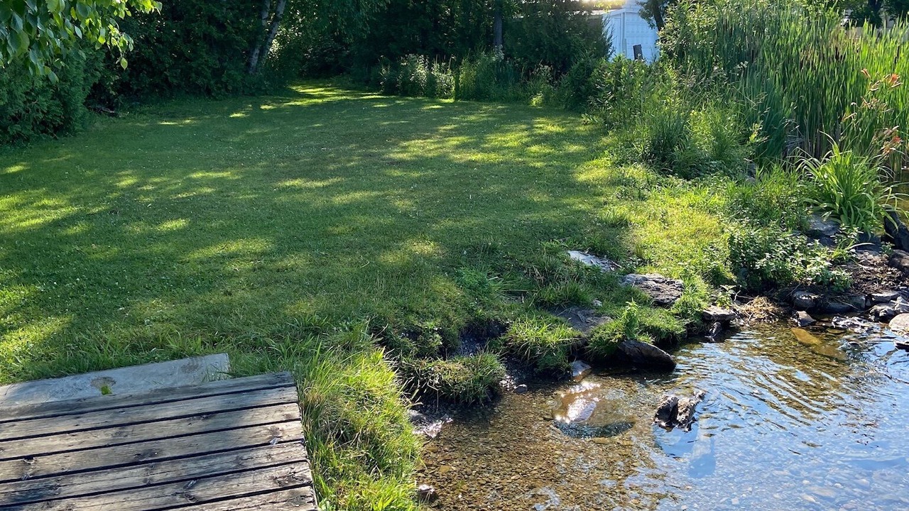 Photo of Outdoor in Fenelon Falls