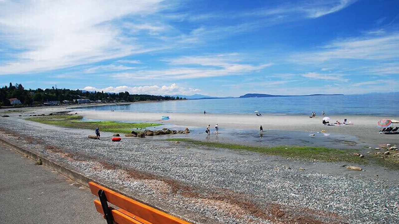 Photo of Others in Regional District of Nanaimo