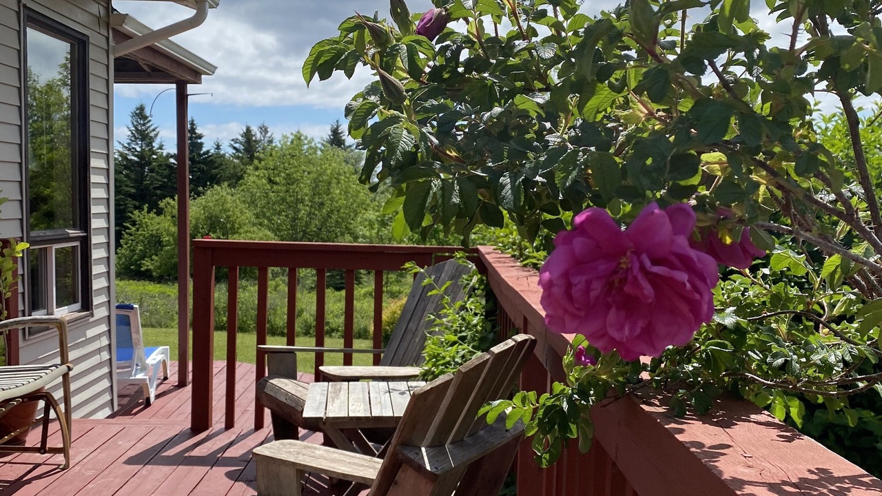 Photo of Patio Balcony in Green Bay