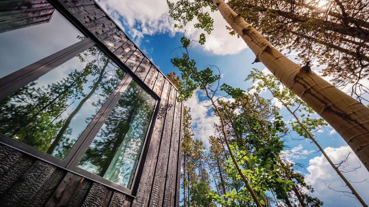 Photo of Outdoor in Whitehorse