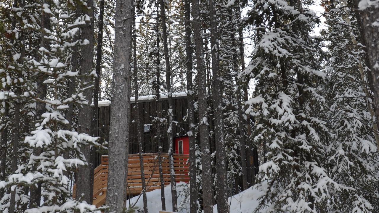 Photo of Outdoor in Whitehorse
