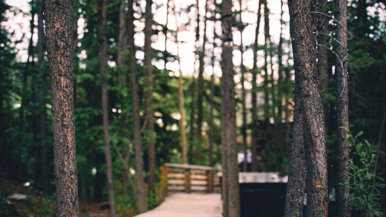 Photo of Outdoor in Whitehorse