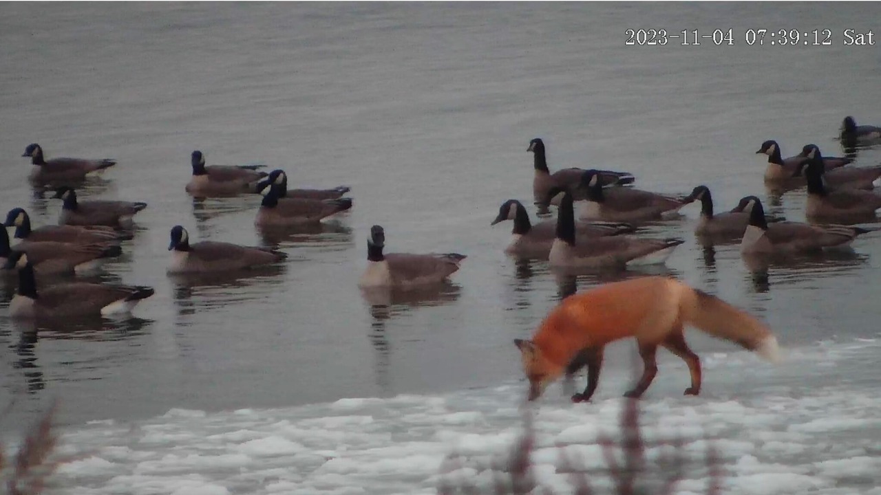 Photo of Others in Saskatchewan